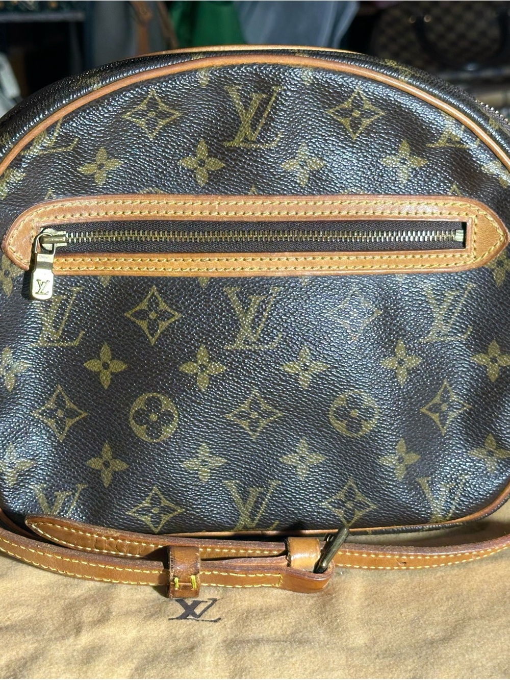 Louis Vuitton Monogram Canvas Belt Bag in Brown and Tan